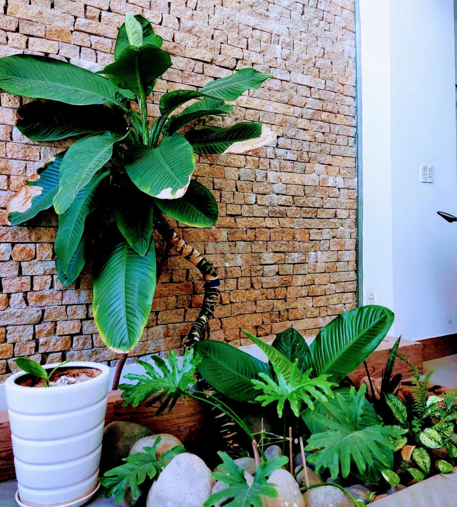 Nap Homestay Kinh Dinh Exterior foto
